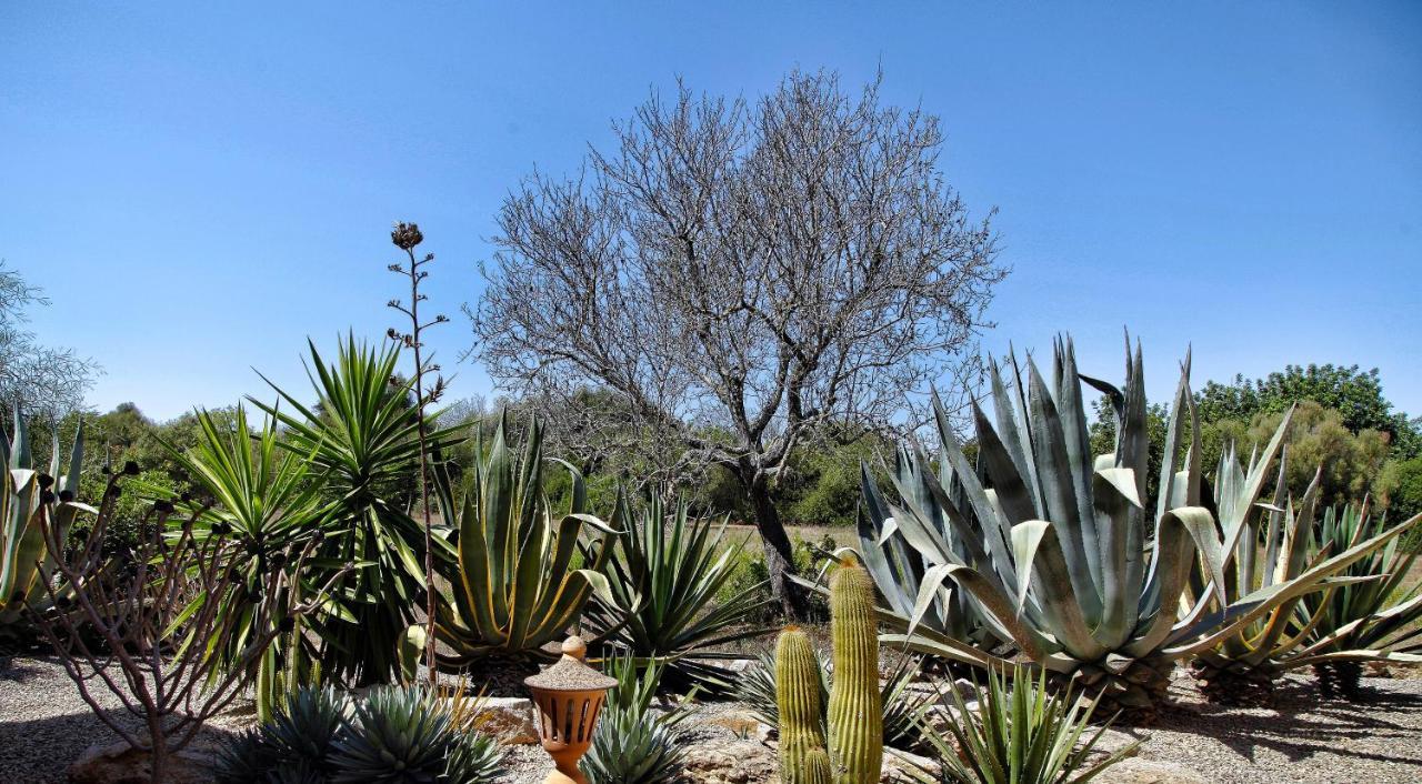 Finca Casa Mas Santanyí Esterno foto